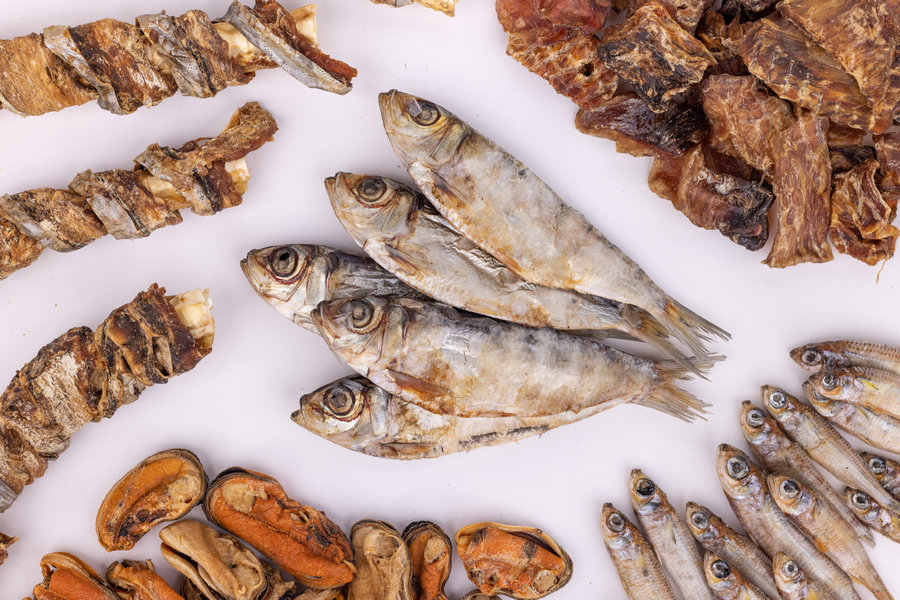 උකුණු මාළු